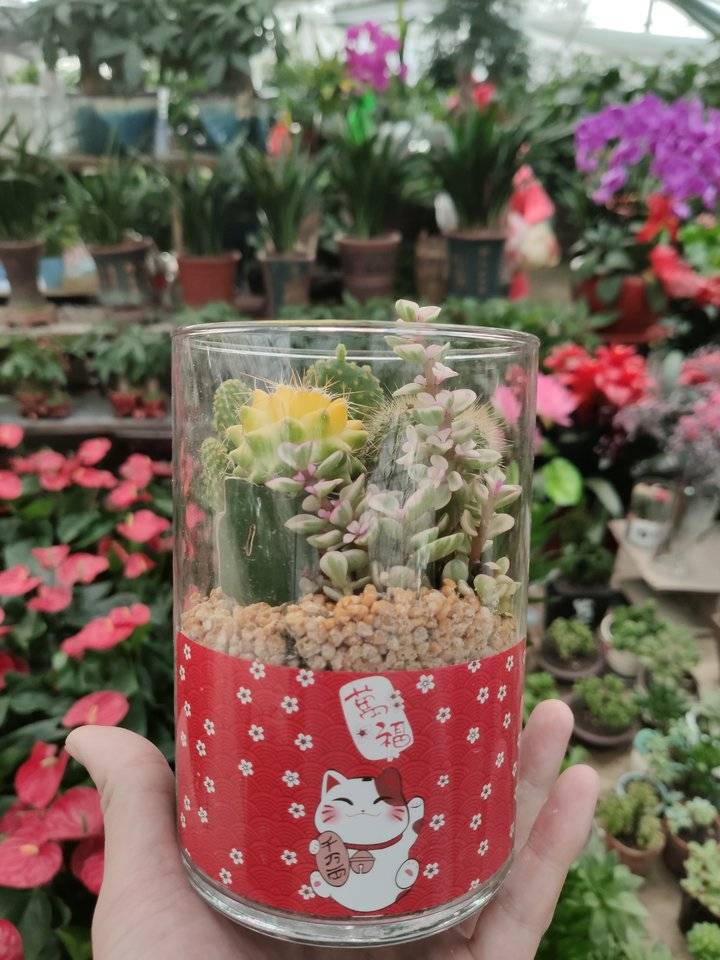 图片加载失败